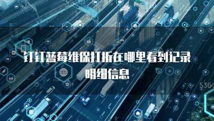 多乘單CRM返點(diǎn)查詢(xún)與信息系統(tǒng)運(yùn)行維護(hù)服務(wù)詳解