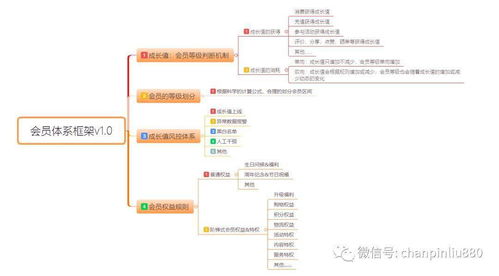 會(huì)員積分體系產(chǎn)品設(shè)計(jì)與信息系統(tǒng)運(yùn)行維護(hù)服務(wù)