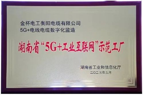 七年磨一劍 金杯電纜獲評(píng)湖南省 5g 工業(yè)互聯(lián)網(wǎng) 示范工廠