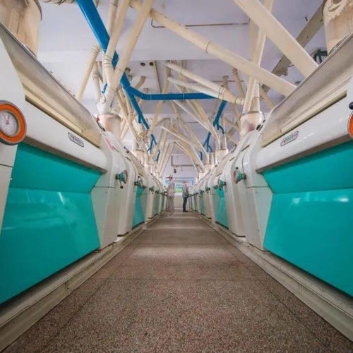 喜訊 省級特色優勢食品產業強鎮 特色優質食品,我市新增2項省級食品工業榮譽